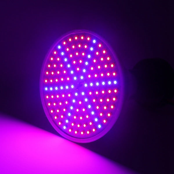 Adjustable Desktop UV Grow Light