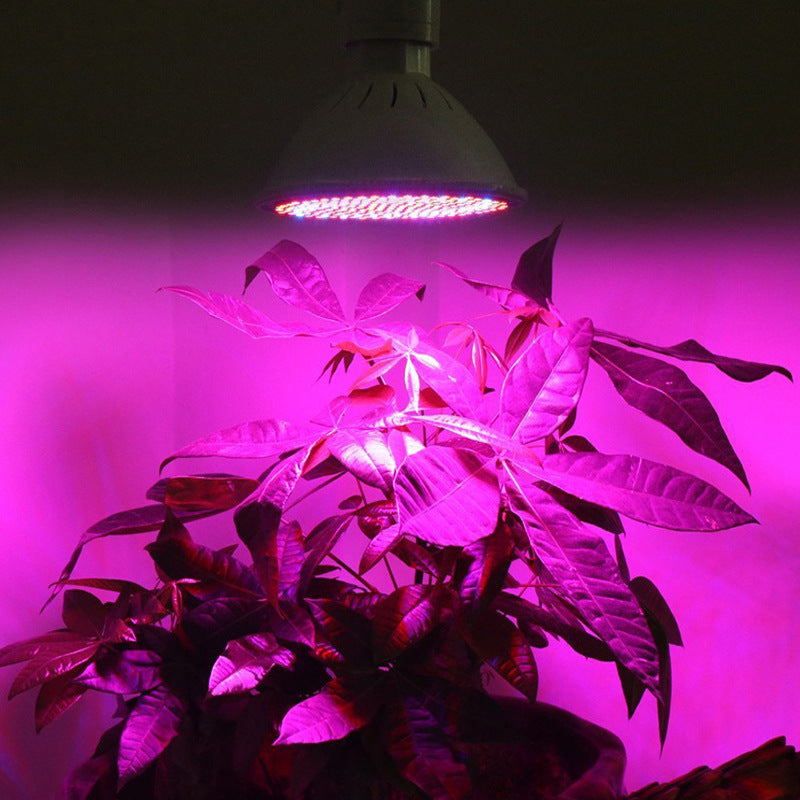 Adjustable Desktop UV Grow Light