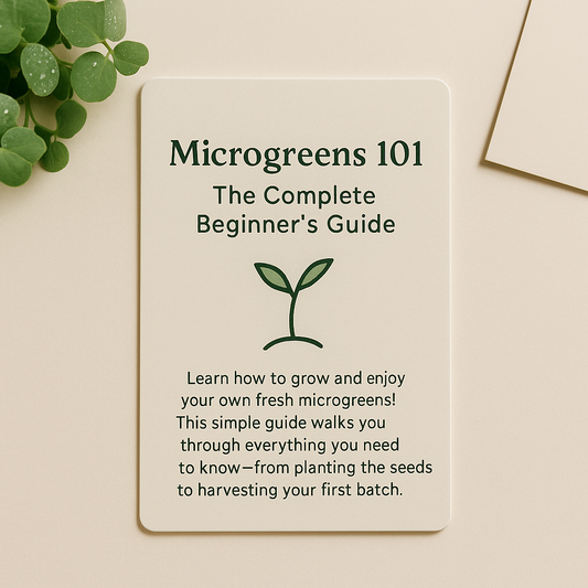 Microgreens 101: The Complete Beginner’s Guide